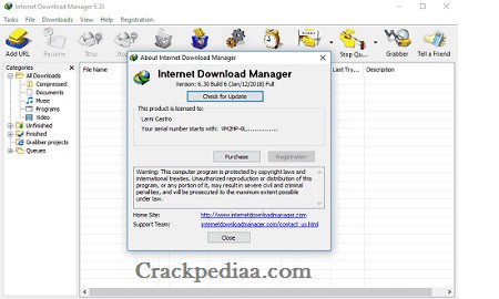 Idm 6 38 Crack Serial Key Free Download 2021 Crackpediaa