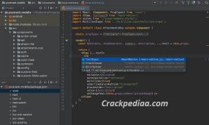 webstorm crack activation code