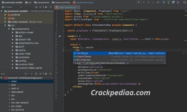 WebStorm Crack Download
